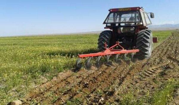 روشی برای کاهش بذر علف های هرز در خاک روشی برای کاهش بذر علف های هرز در خاک