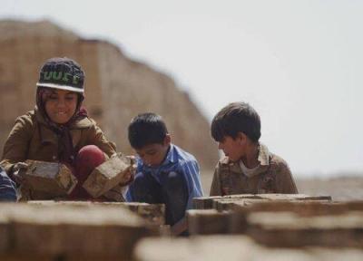 داستان کاج ها و گنجشک ها