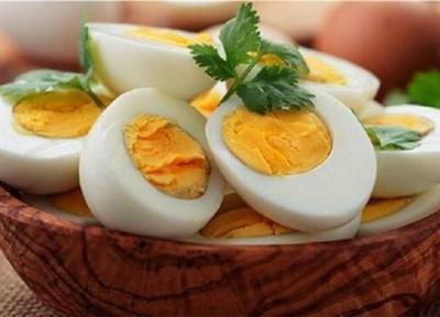 تخم مرغ منبع املاح مورد احتیاج بدن