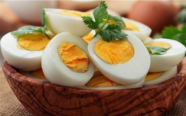تخم مرغ منبع املاح مورد احتیاج بدن