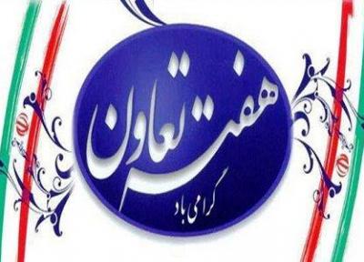 تعاونی ها 5600 فرصت شغلی در انزلی ایجاد کردند